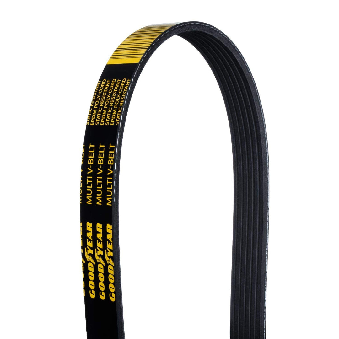 Black rubber serpentine belt with ribbed texture, front view