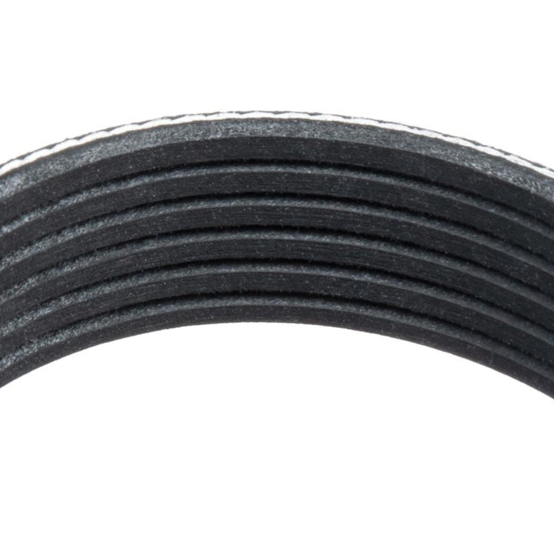 Black serpentine belt for 5.0 engine with ribbed texture, close-up view
