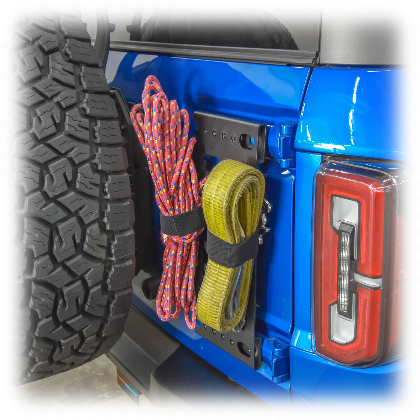 Tailgate Molle Panel/ Accessory Adapter, 2021+ Ford Bronco