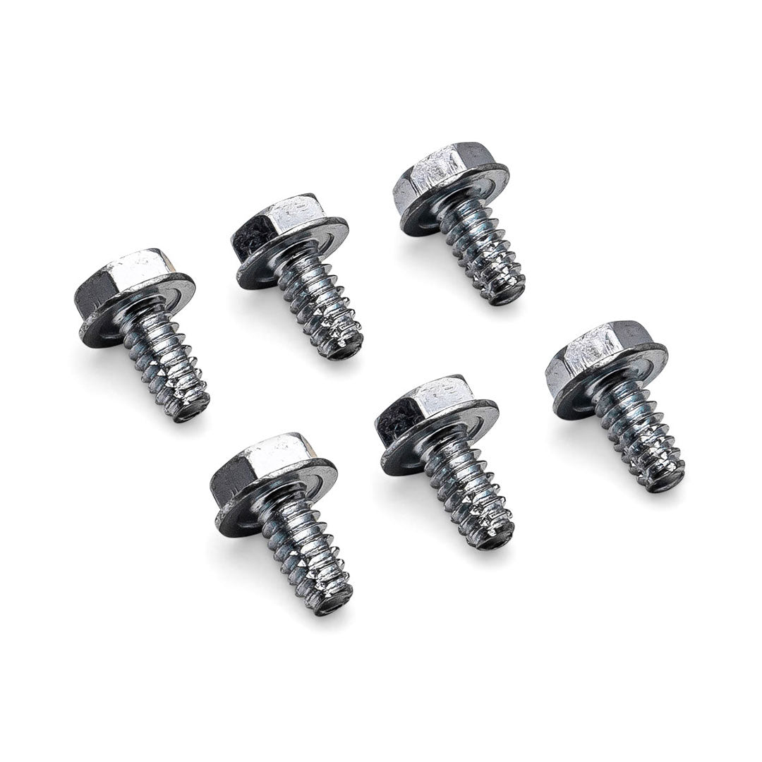 License Plate Bracket Screws, Set of 6