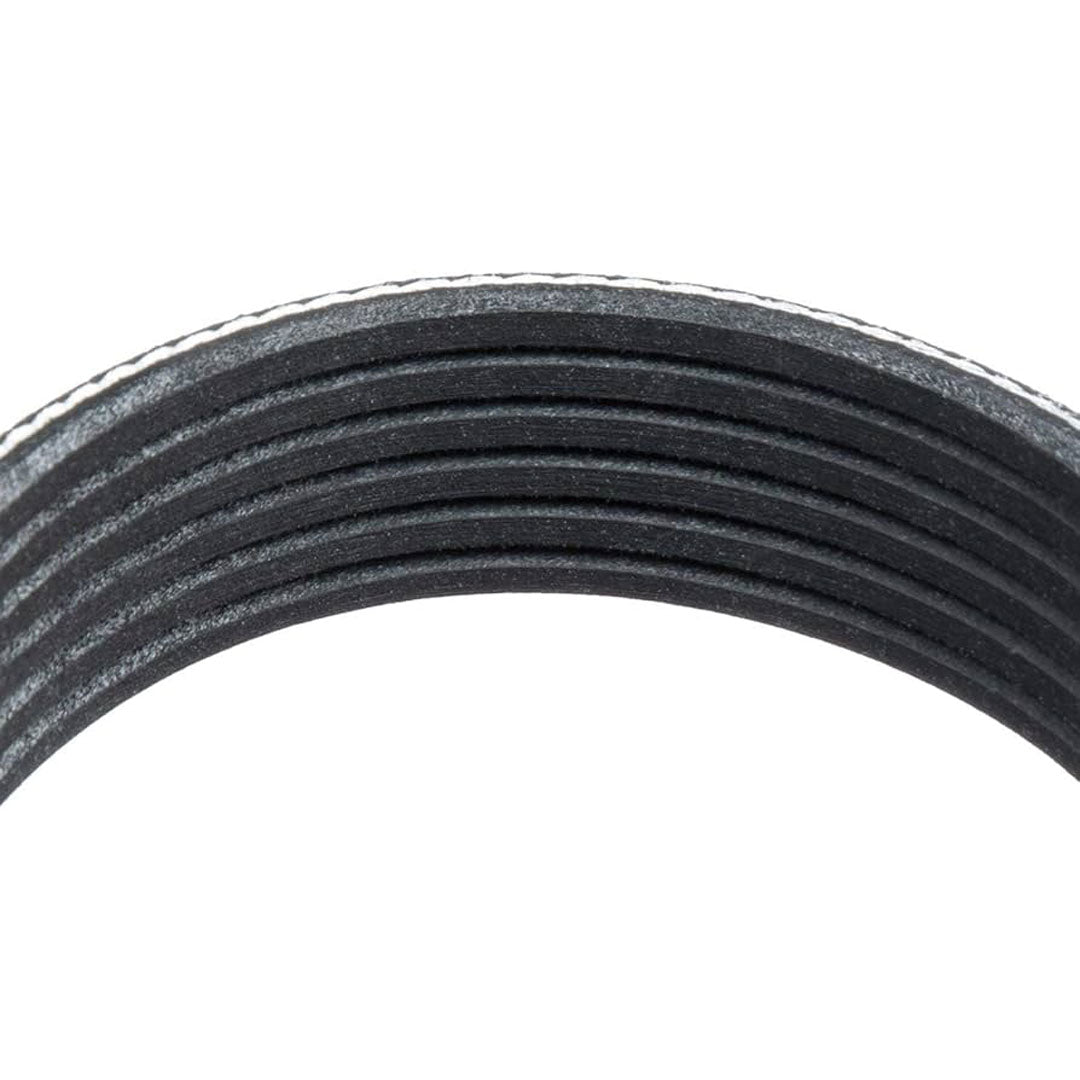 Serpentine Belt – Explorer 5.0 Front Drive