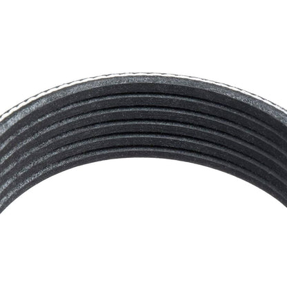 Serpentine Belt – Explorer 5.0 Front Drive