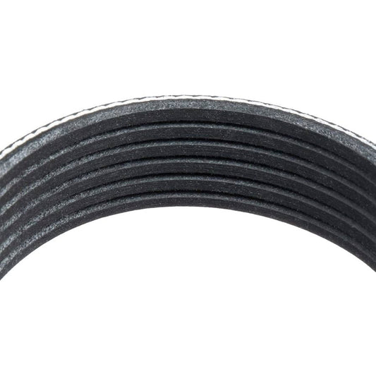 Serpentine Belt – Explorer 5.0 Front Drive