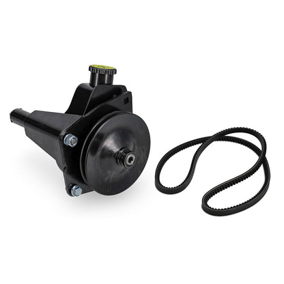 Power Steering Pump Kit for 289/302