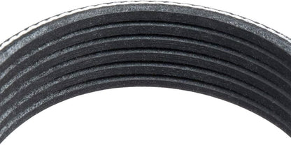 Serpentine Belt – Explorer 5.0 Front Drive