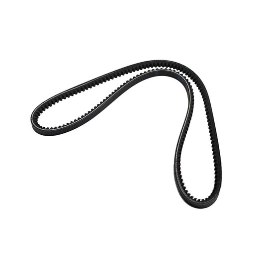 Alternator Belt, V-8