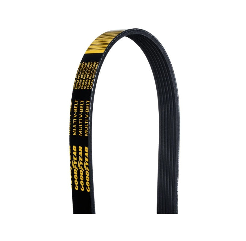 Alternator Serpentine Belt, Coyote 5.0 No A/C