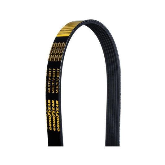 Serpentine belt for 5.0 Coyote engine, ribbed black rubber with reinforced edges, close-up