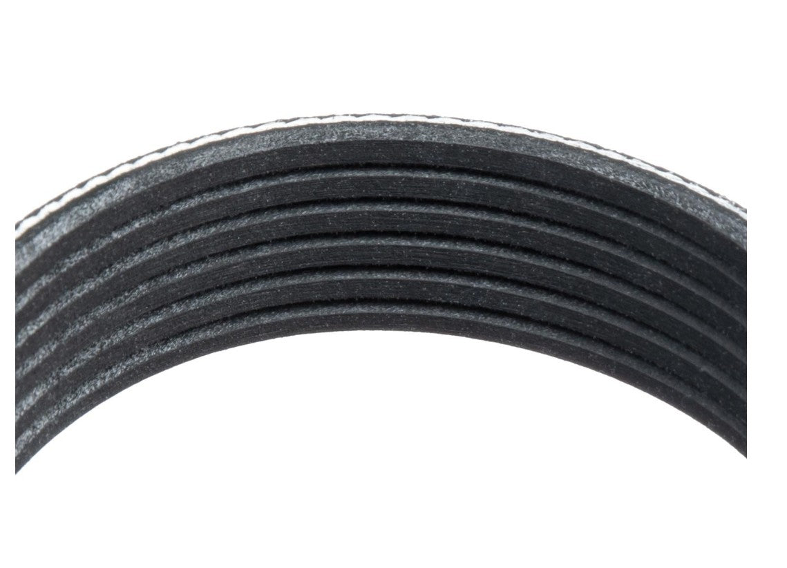 Alternator Serpentine Belt, Coyote 5.0 No A/C
