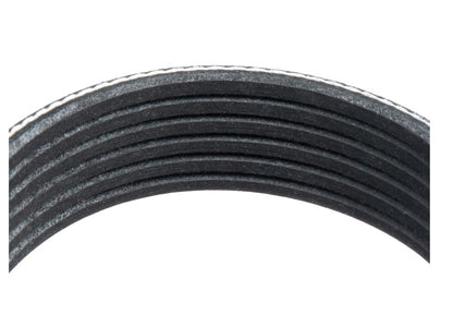 Alternator Serpentine Belt, Coyote 5.0 No A/C